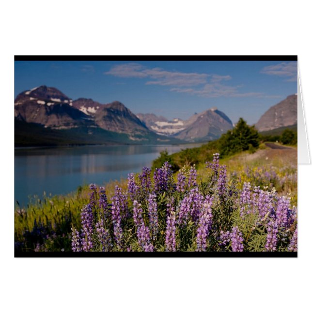 Montana - Kerma’s Art (Front Horizontal)