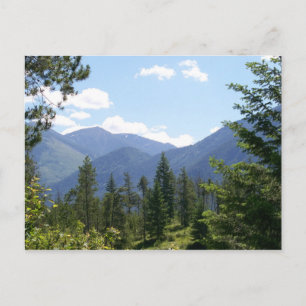 Montana Landscape Postcard