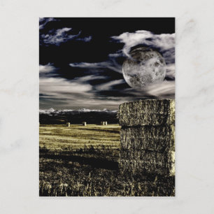 Montana Moon Postcard