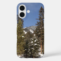 Montana Mountain Trails in Winter Landscape Photo