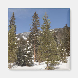 Montana Mountain Trails in Winter Landscape Photo Magnet