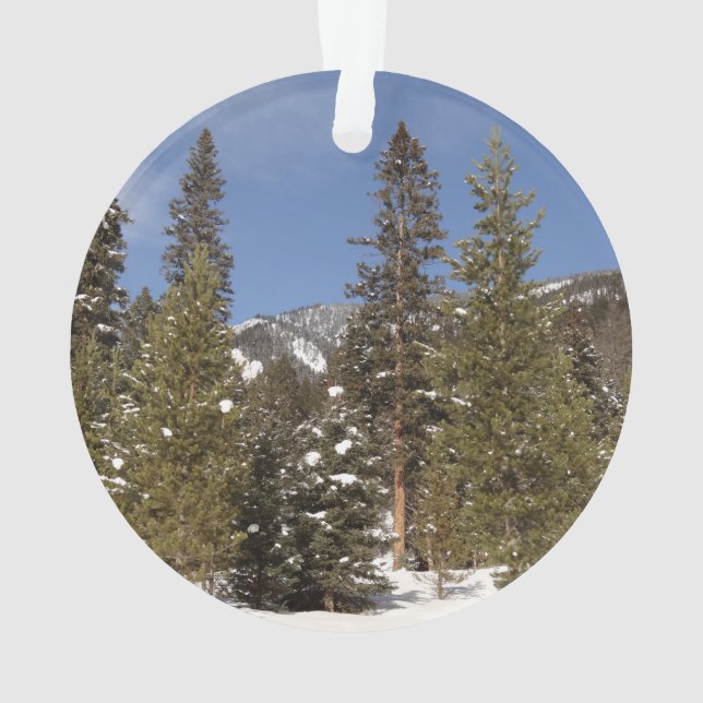 Montana Mountain Trails in Winter Landscape Photo Ornament (Back)