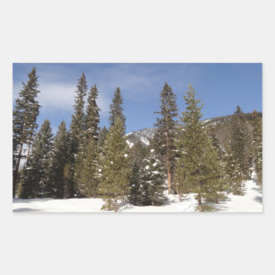 Montana Mountain Trails in Winter Landscape Photo Rectangular Sticker
