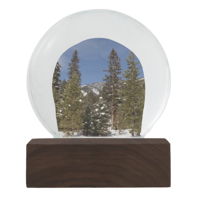 Montana Mountain Trails in Winter Landscape Photo Snow Globe (Front)