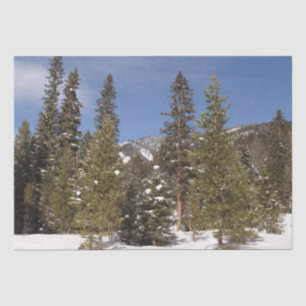 Montana Mountain Trails in Winter Landscape Photo Tissue Paper
