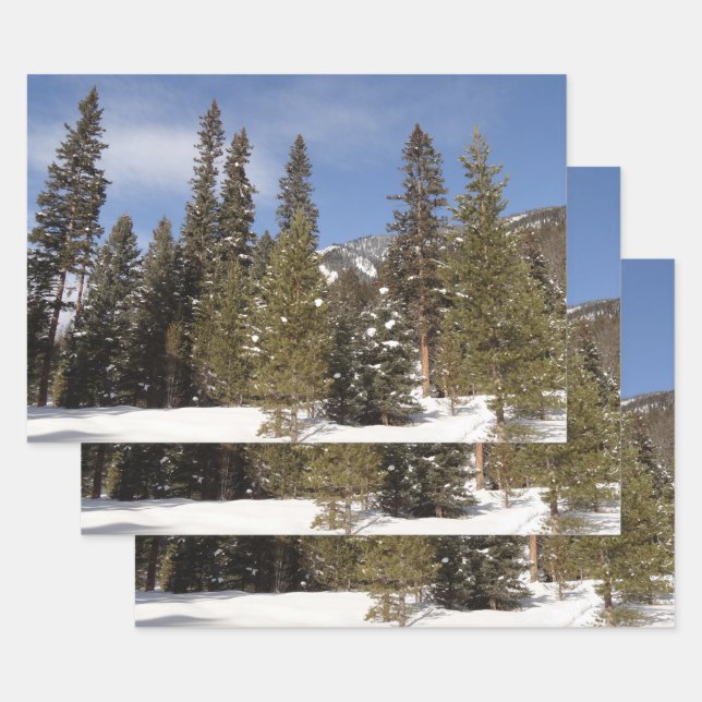 Montana Mountain Trails in Winter Landscape Photo Wrapping Paper Sheet (Set)