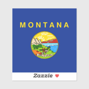 Montana State Flag Design