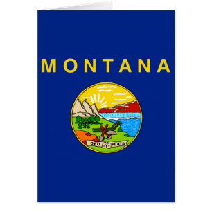 Montana State Flag Design
