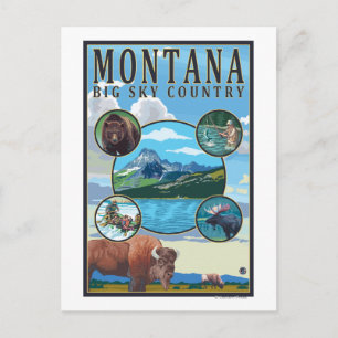 Montana State Scenes Postcard