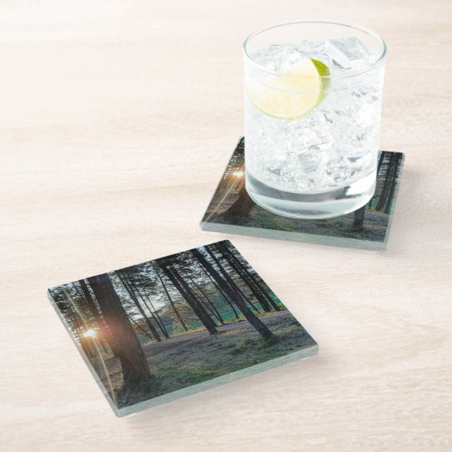 Montana Summer Glass Coaster (Angled)
