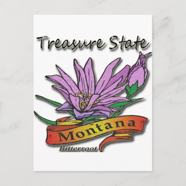 Montana Treasure State Bitterroot Postcard (Front)