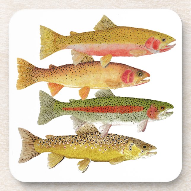 Montana Trout Coasters (Front)