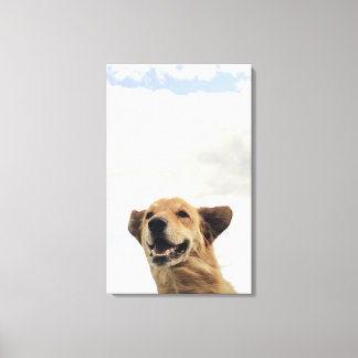 Montana, USA Canvas Print