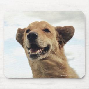 Montana, USA Mouse Pad