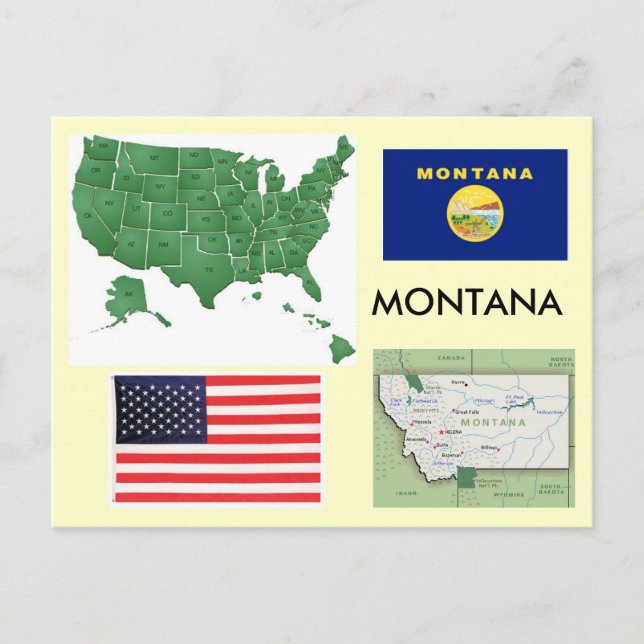 Montana, USA Postcard (Front)