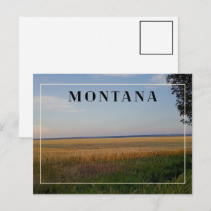 Montana Wheat Sunset Postcard