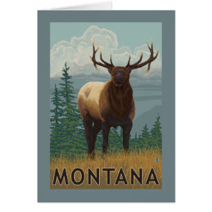 MontanaElk Scene