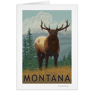 MontanaElk Scene