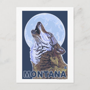 MontanaWolf Howling Postcard
