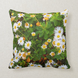 Montauk Daisies decorative throw pillow