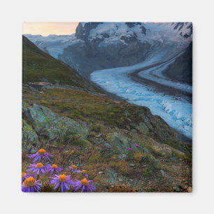 Monte Rosa Glacier   Switzerland Magnet