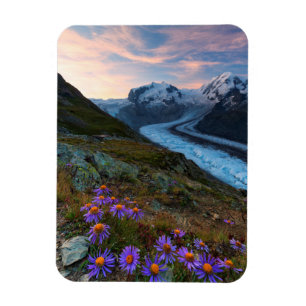 Monte Rosa Glacier Switzerland Magnet