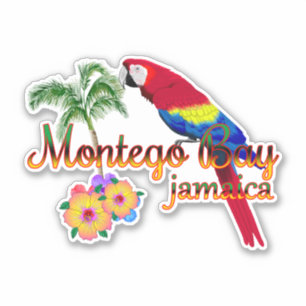 Montego Bay Jamaica Tropical Parrot