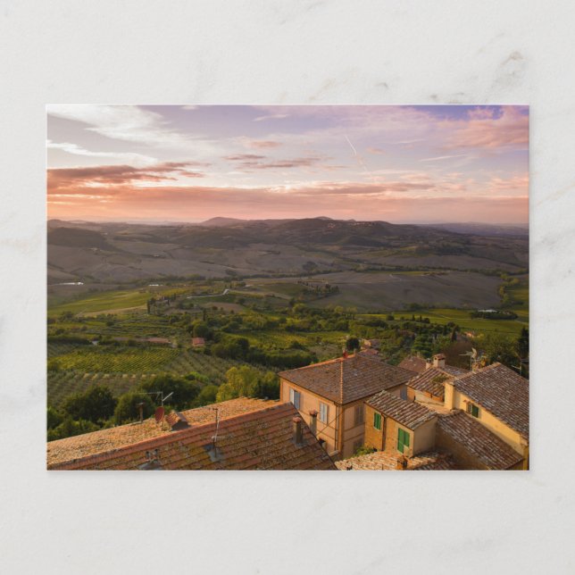 Montepulciano Italy Landscape, Vineyards and Homes Postcard (Front)