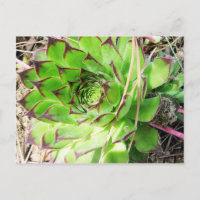 Montepulciano Vino Nobile, Italy