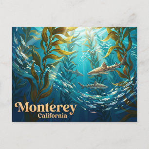 Monterey Bay Aquarium USA Postcard