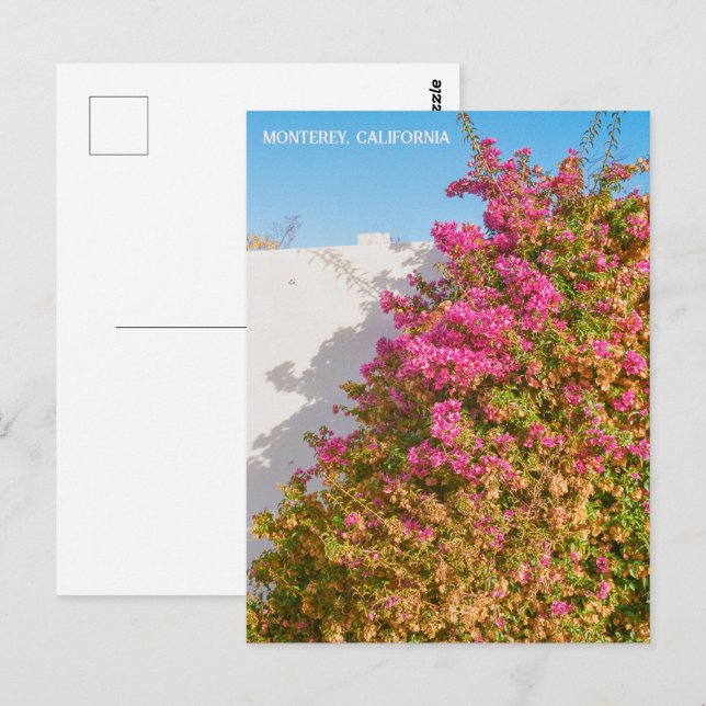 Monterey Bay California | Film Photography | Wharf Postcard (Front/Back)