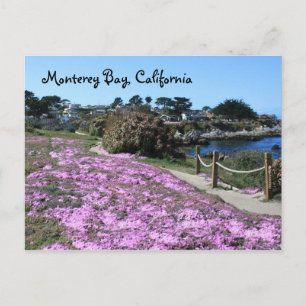 Monterey Bay, California Postcard