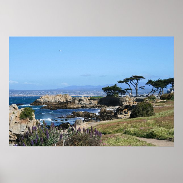 Monterey Bay Coastline, Spring Photo Poster (Front)