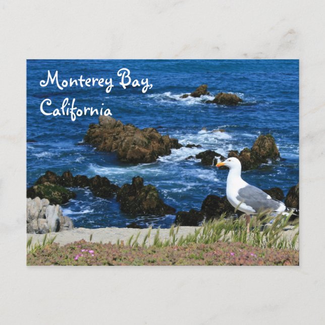 Monterey Bay, Postcard (Front)
