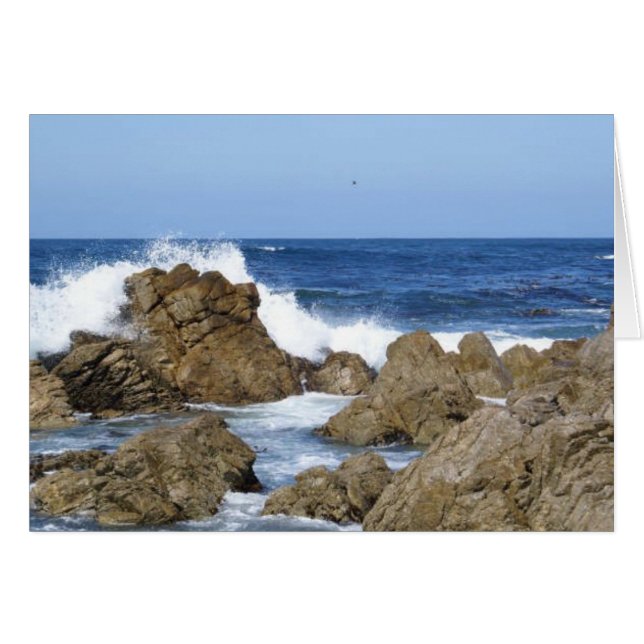 Monterey, CA (Front Horizontal)