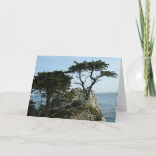 Monterey Cypress Greeting Card