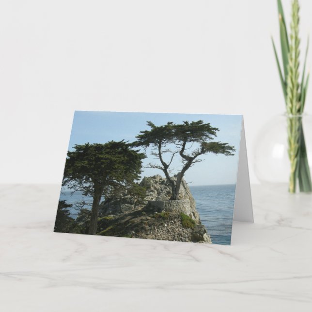 Monterey Cypress Greeting Card (Front)