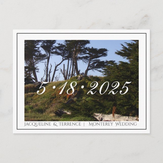 Monterey Pines California Save the Date Announcement Postcard (Front)