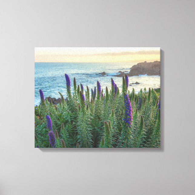 Monterey Sunrise Canvas Print (Front)