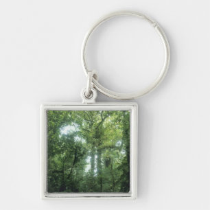 Monteverde Cloud Forest, Costa Rica. Key Ring