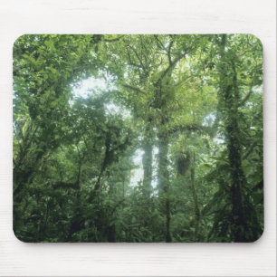 Monteverde Cloud Forest, Costa Rica. Mouse Pad