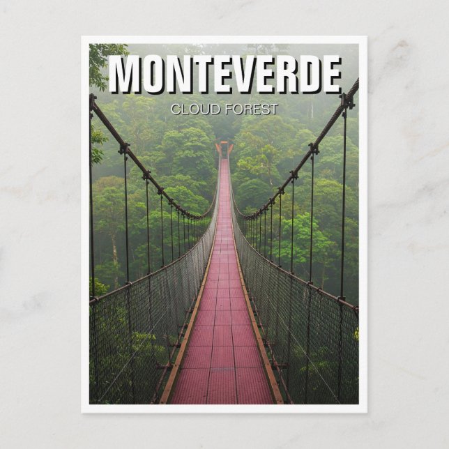Monteverde Cloud Forest Costa Rica Travel Postcard (Front)