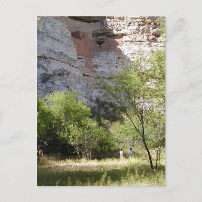 Montezuma Castle Cliff Indian Grass Trees Postcard (Front)