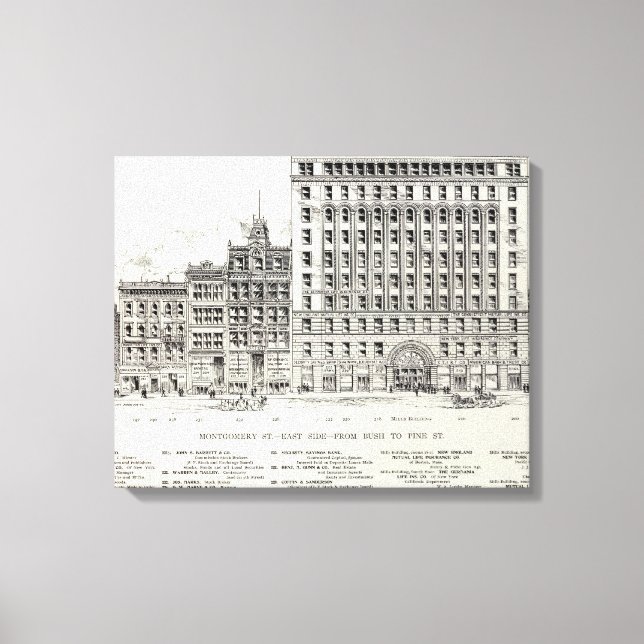 Montgomery East side Bush and Pine Canvas Print (Front)
