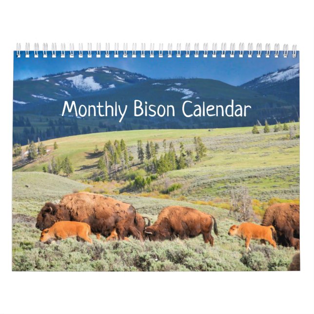 Monthly Bison Calendar - National Parks Edition (Cover)