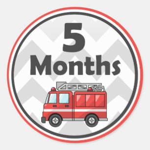 Monthly Milestone Stickers - Baby Month to Month