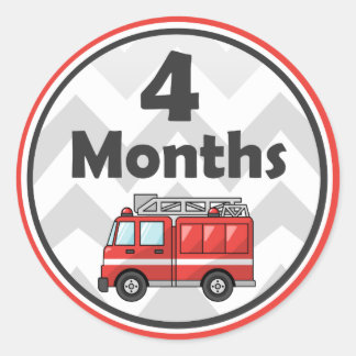 Monthly Milestone Stickers - Baby Month to Month