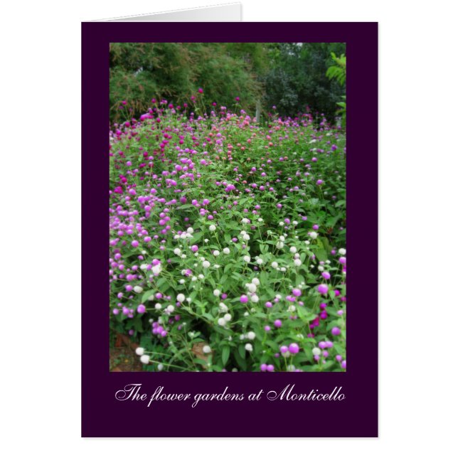 Monticello Flower Gardens (Front)