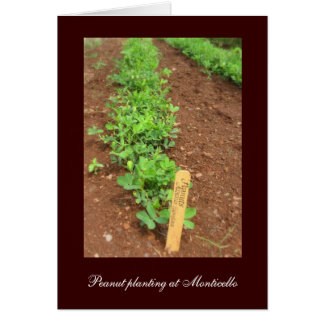Monticello's Vegetable Gardens
