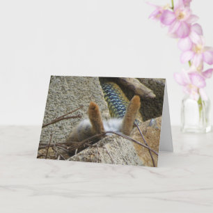 Montpellier Snake and Rabbit Card